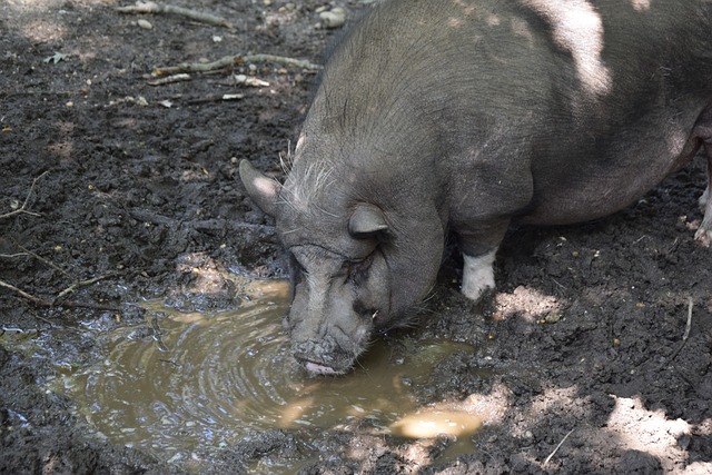 泰伦卢：我们明天还有一场比赛，要把这场失利抛在脑后